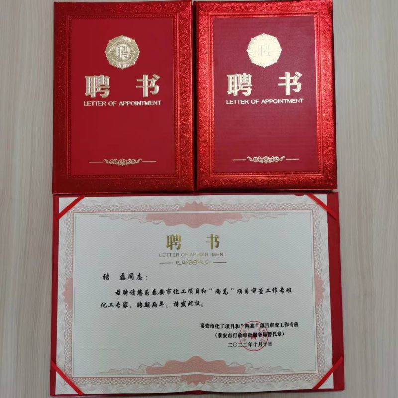 孙虎等三名同志喜获泰安市化工项目和“两高”项目
