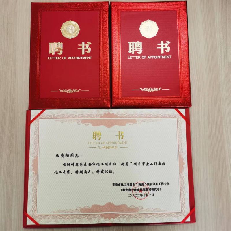 孙虎等三名同志喜获泰安市化工项目和“两高”项目