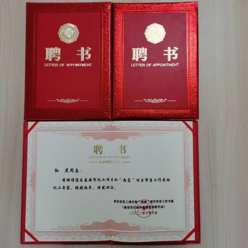 孙虎等三名同志喜获泰安市化工项目和“两高”项目